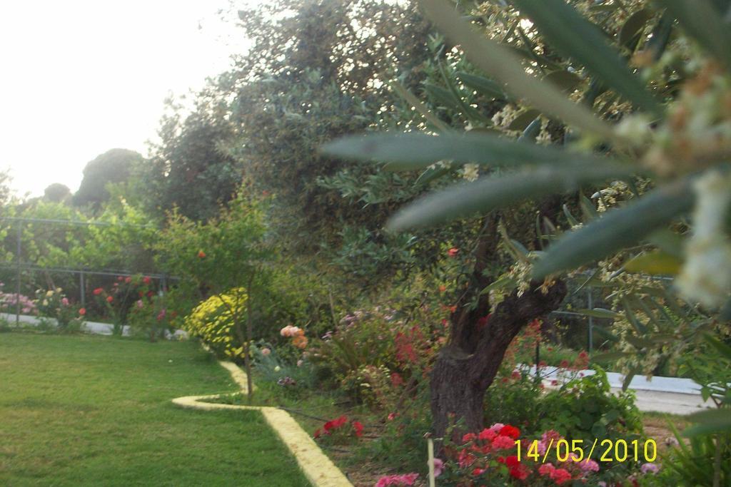 Yalis Studios Achladies (Skiathos) Exterior foto