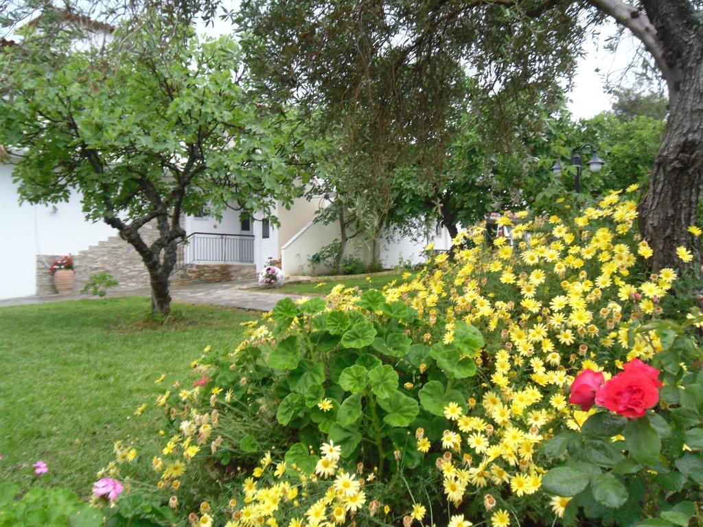 Yalis Studios Achladies (Skiathos) Exterior foto