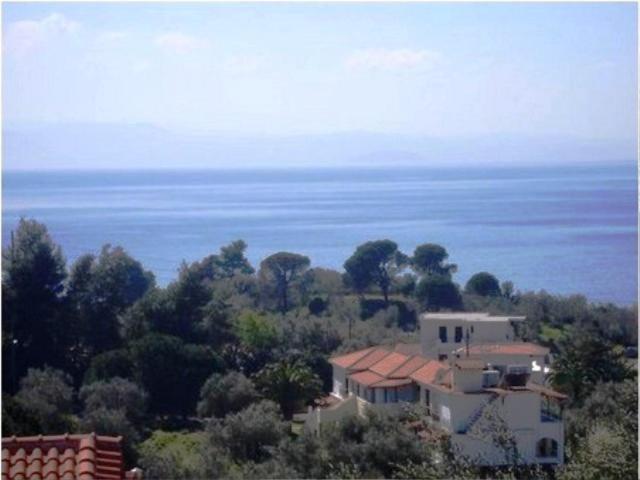 Yalis Studios Achladies (Skiathos) Exterior foto